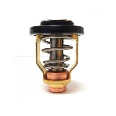 THERMOSTAT 50°C