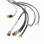 Faisceau électrique BRP 6m