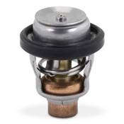 THERMOSTAT 60º