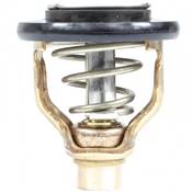 THERMOSTAT 60ºC