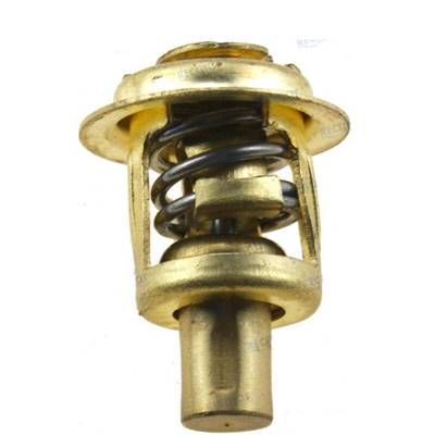 THERMOSTAT 60°C