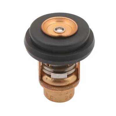 THERMOSTAT 71°C