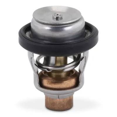 THERMOSTAT 60º