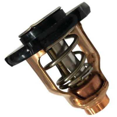 THERMOSTAT 60ºC