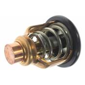 THERMOSTAT 60ºC