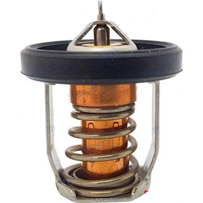 THERMOSTAT 60º