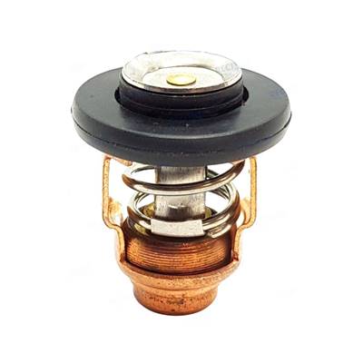 THERMOSTAT 60ºC