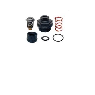 KIT THERMOSTAT