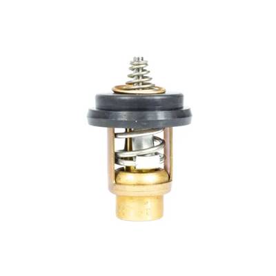 THERMOSTAT 52°C