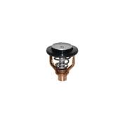 THERMOSTAT 60ºC