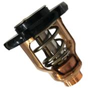 THERMOSTAT 60ºC