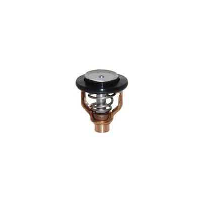 THERMOSTAT 60ºC