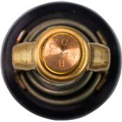 THERMOSTAT 60ºC