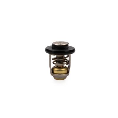 THERMOSTAT 60°