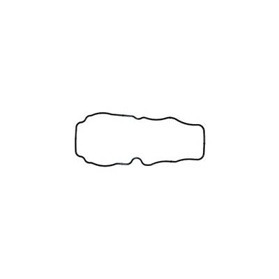 JOINT VST