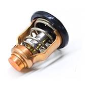 THERMOSTAT 60ºC