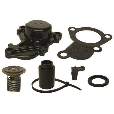 THERMOSTAT MERCURY 110°