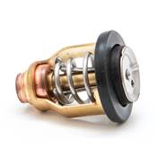 THERMOSTAT 60ºC