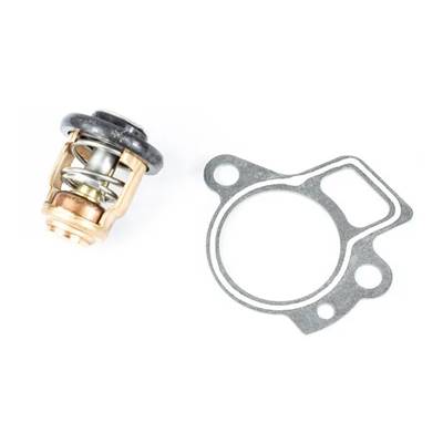 THERMOSTAT 60°C