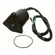 MOTEUR TRIM /TILT YAMAHA 225-250CV